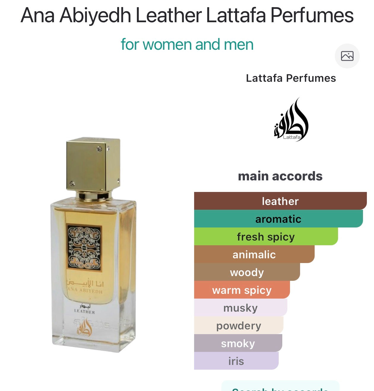 ANA ABIYEDH LEATHER