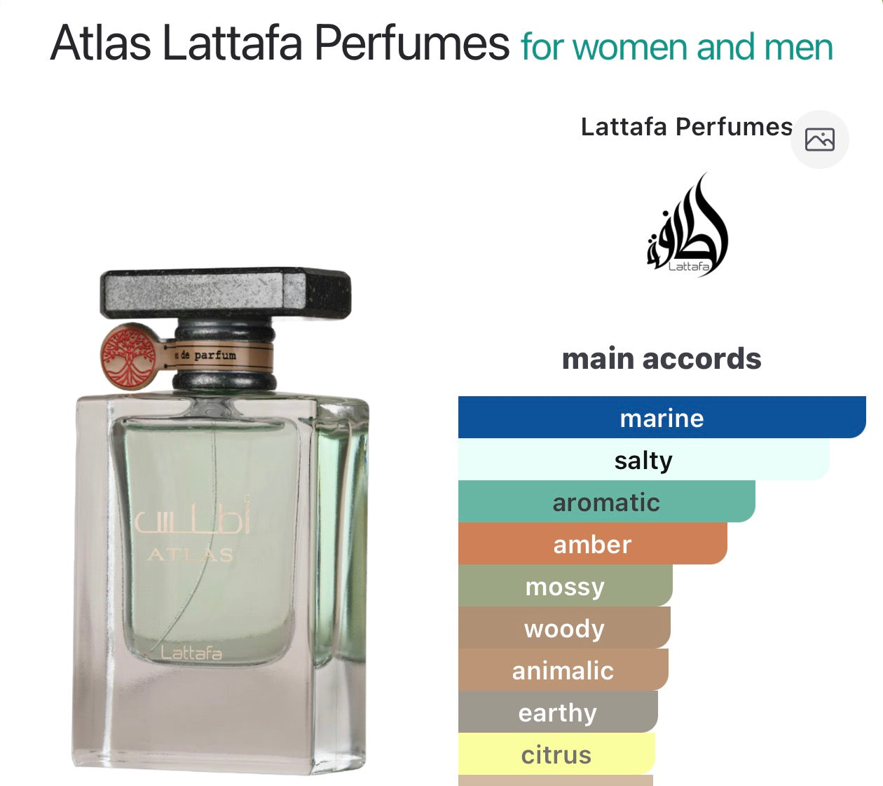 Atlas Lattafa Perfumes